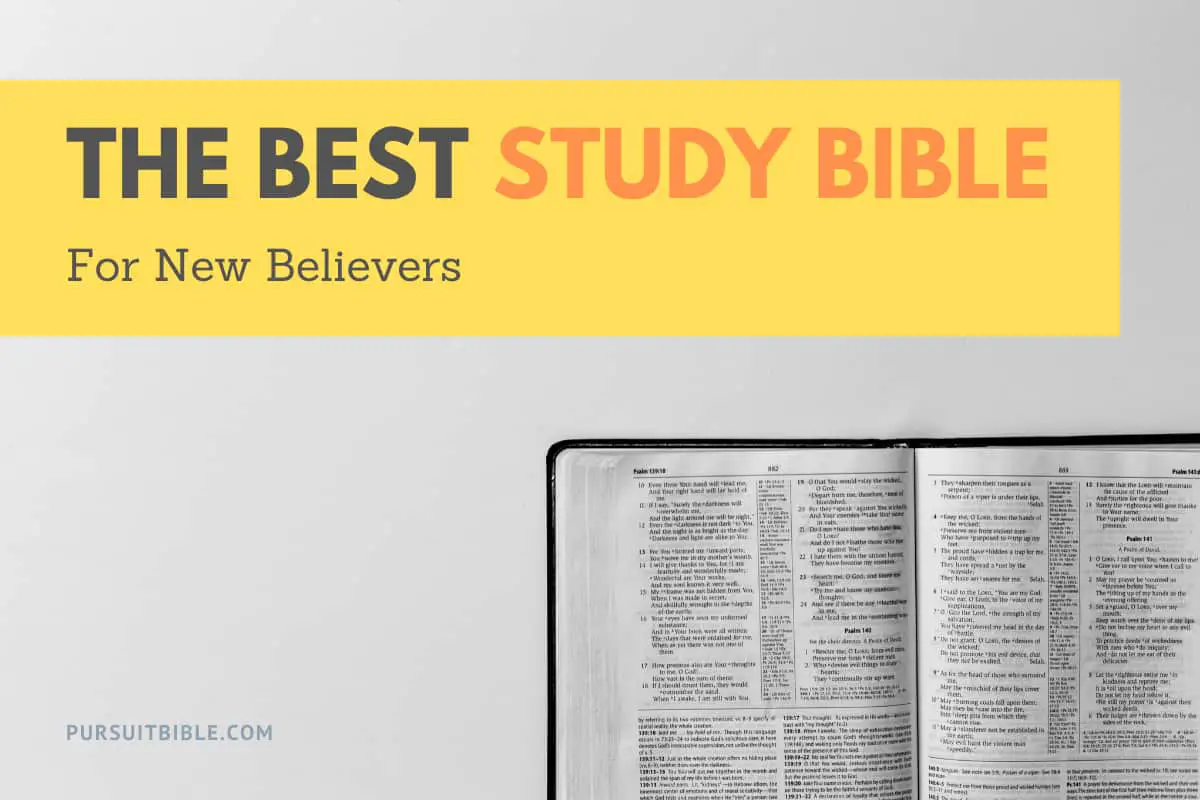 best-study-bible-for-new-believers-in-2021