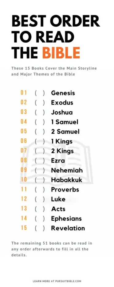 What Is The Best Order To Read The Bible For Beginners Pursuit