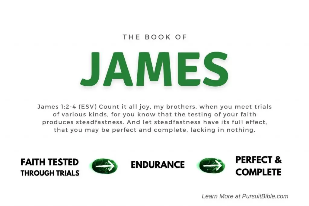 Book Of James Summary Meaning Application Pursuit Bible